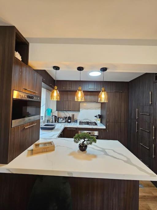 Comfortable Two Bedroom Flat Okręg wyborczy Hove Zewnętrze zdjęcie